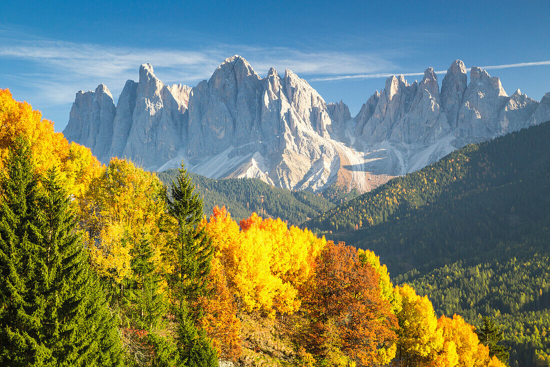 Odle Mountains and colorful trees, Funes Valley, Bolzano Province, Trentino Alto Adige, Italy