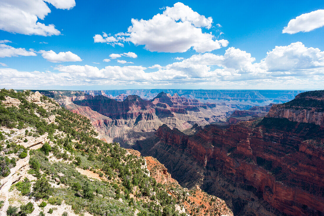 Grand Canyon North Rim, Bright Angel Point, Arizona, USA