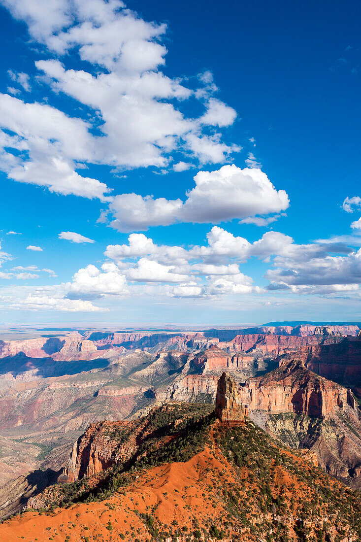 Grand Canyon North Rim, Point Imperial, Arizona, USA