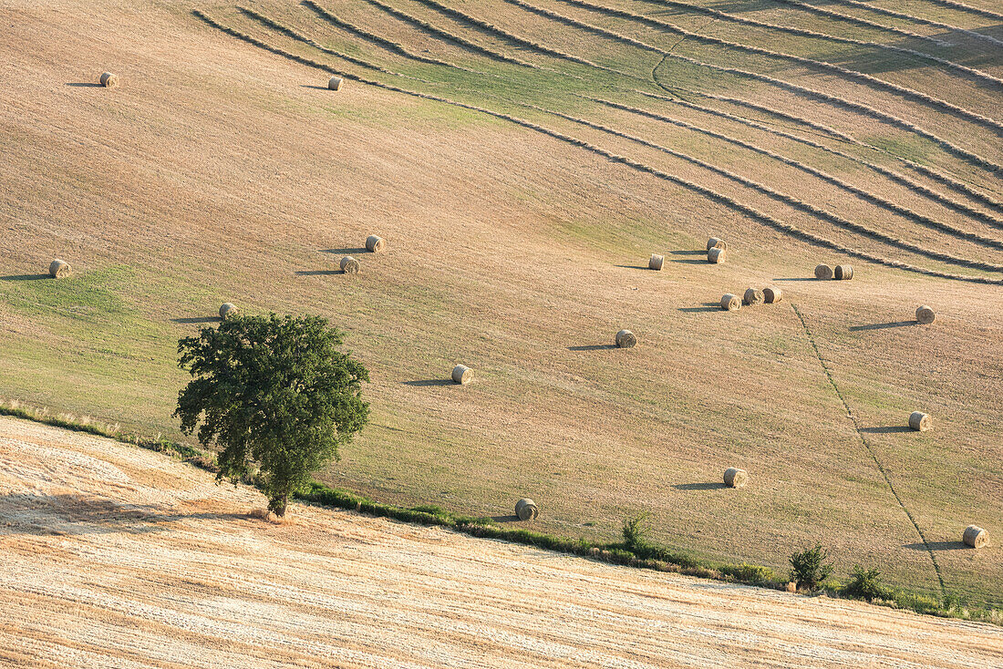 The hay in Collazzone, Province of Perugia, Umbria, Italy, Europe