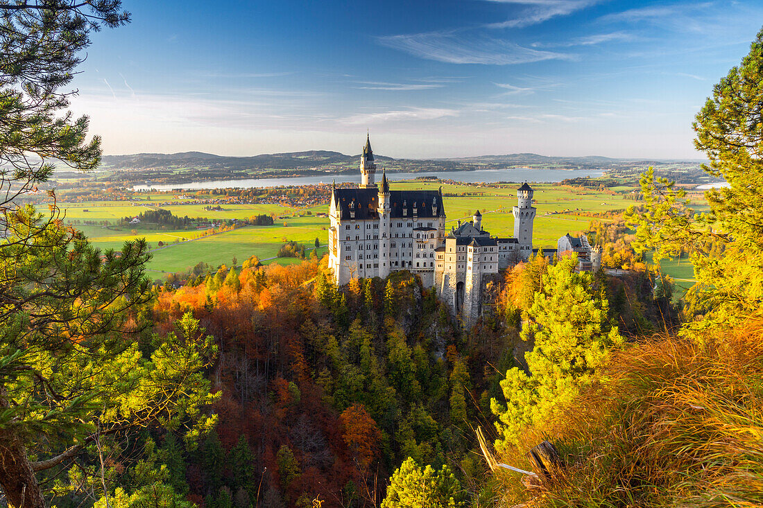 Neuschwanstein Castle in Autumn at sunset. Schwangau, Fussen, Southwest Bavaria, Bavaria, Germany, Europe