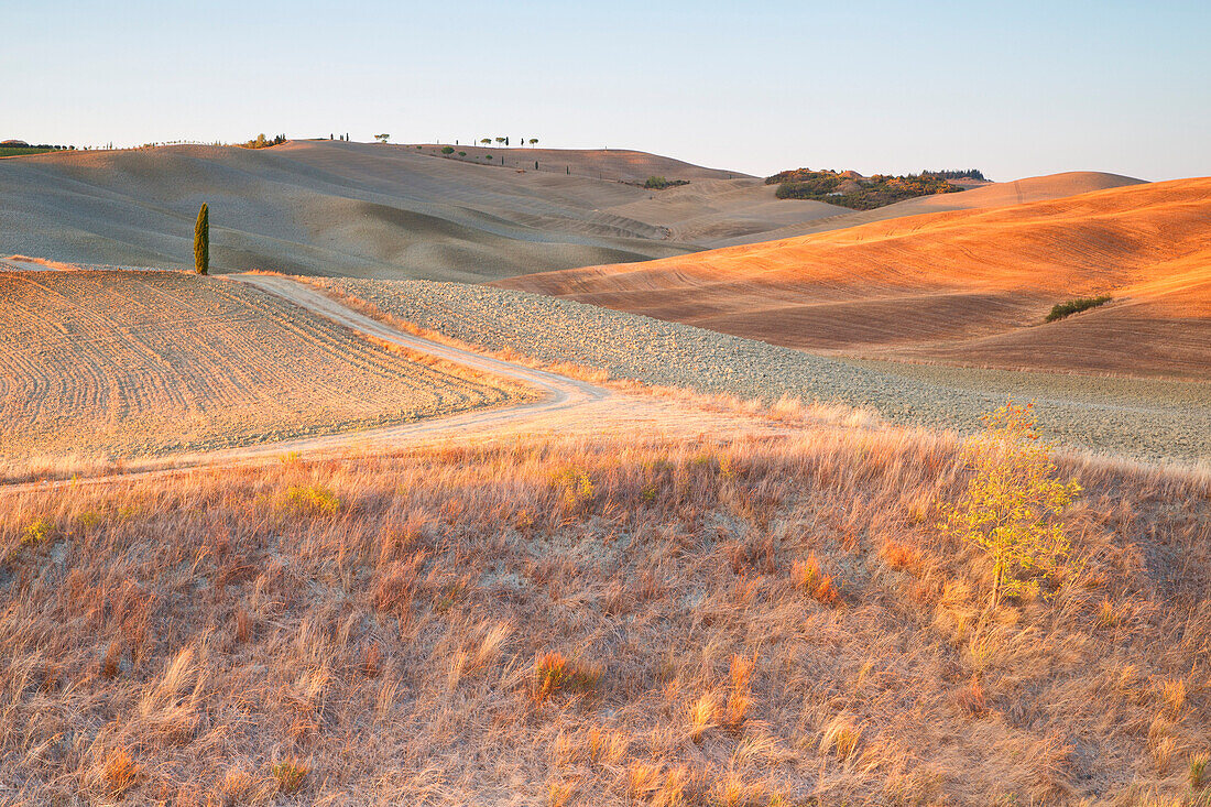 Europe,Italy,Siena district,Orcia Valley, San Quirico d'Orcia.