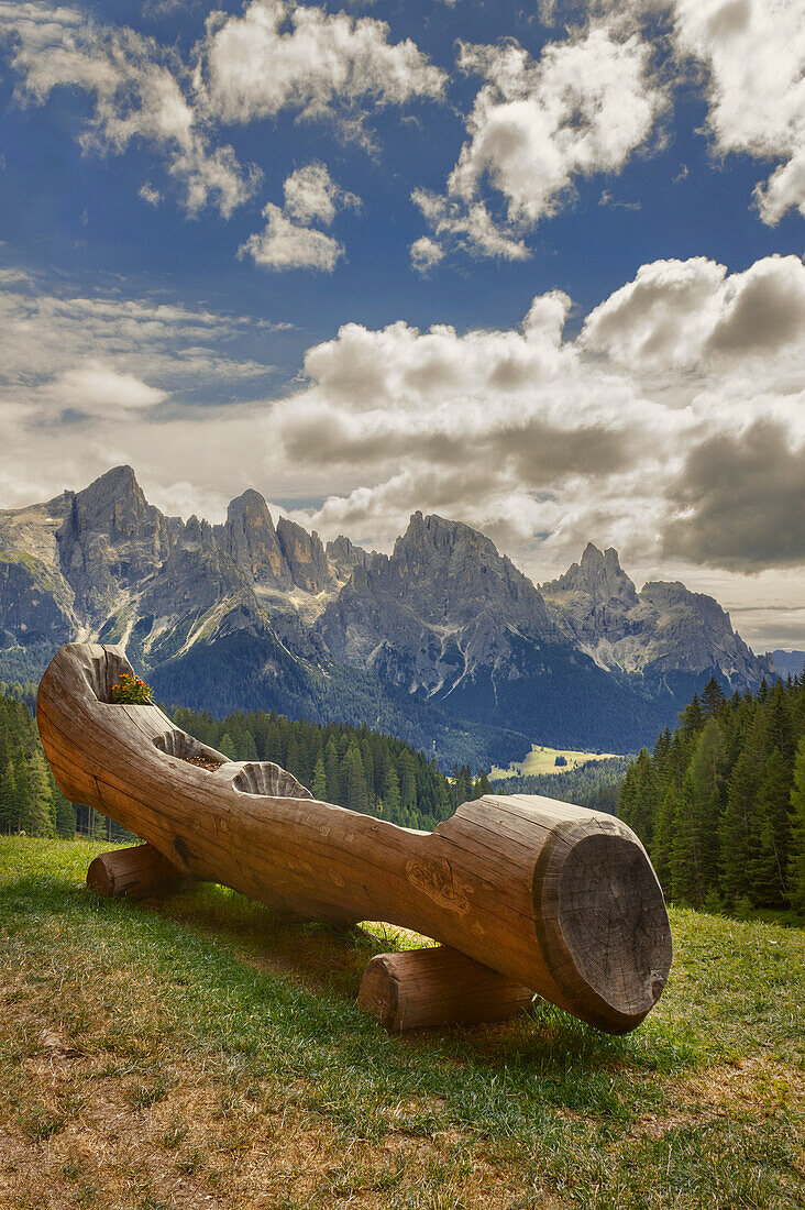 Carved wood, Pale di San Martino Dolomites, San Martino di Castrozza, Trento province, Trentino Alto Adige, Italy, Europe