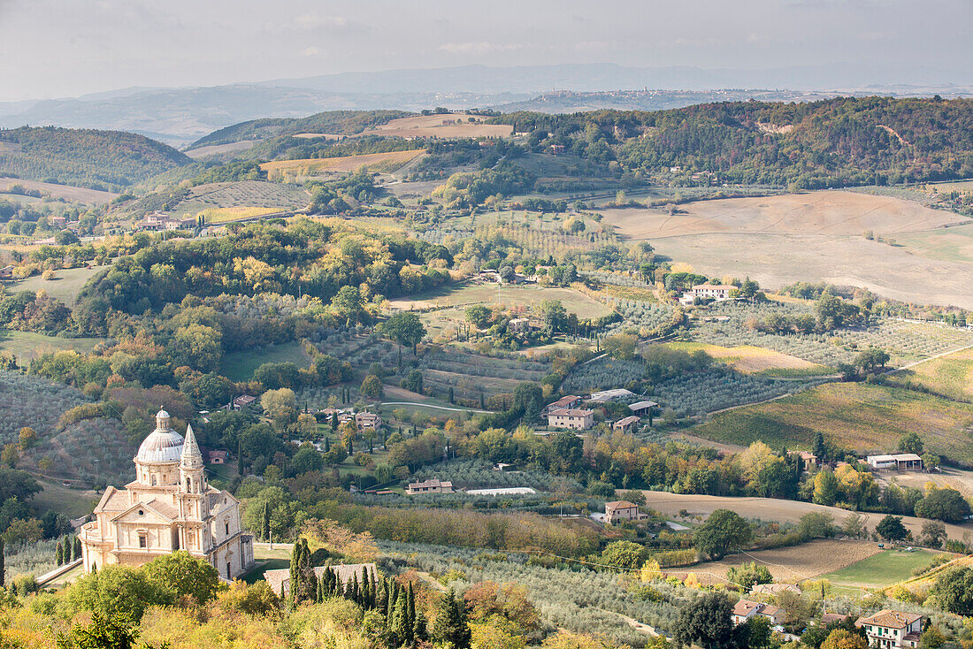 Montepulciano, Tuscany, Italy, Europe