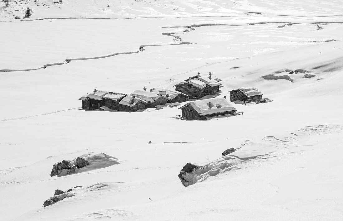 Wooden huts covered by snow in winter, Rezzalo valley - Valtellina, Stelvio National Park, Lombardy, Italy