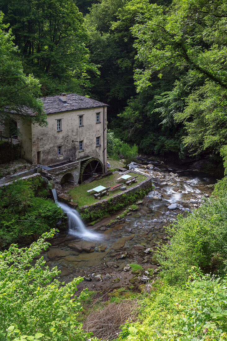 The river Breggia at the Bruzella mill, Muggio Valley, Mendrisio District, Canton Ticino, Switzerland