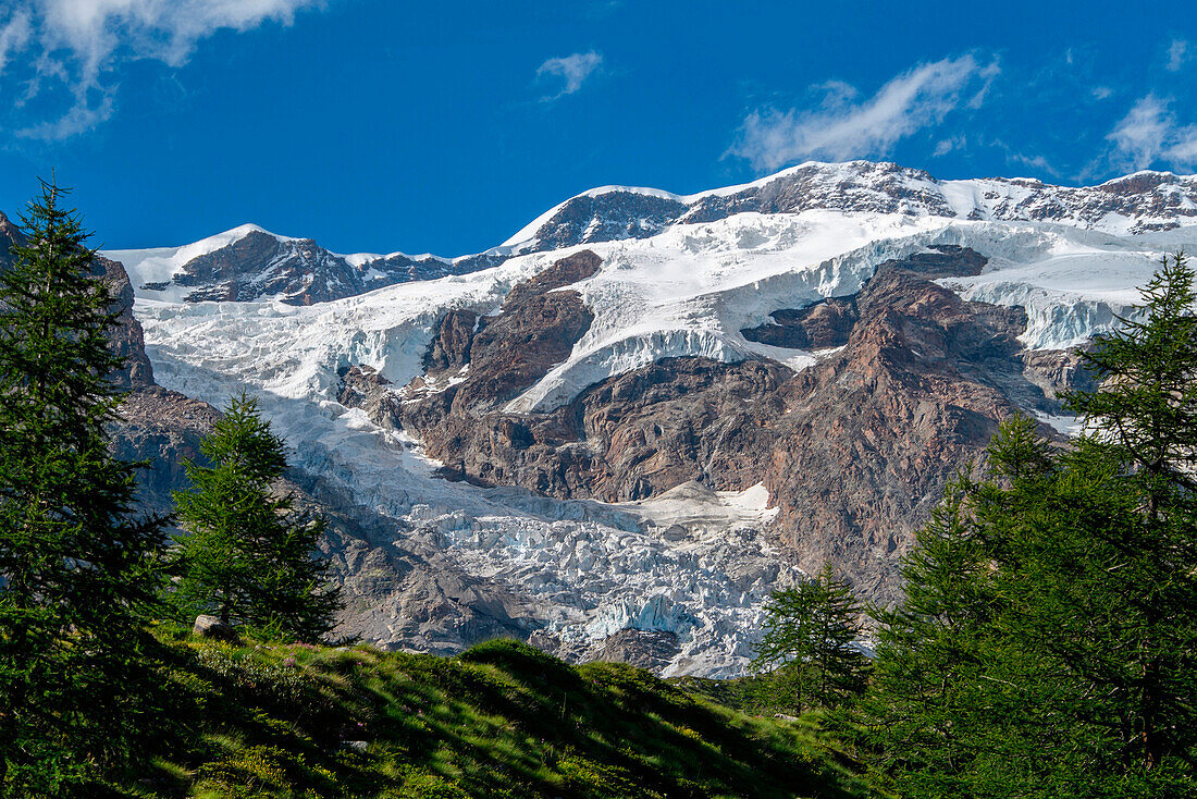 Monte Rosa glacier (Felik), path to Sources of Lys, Gressoney Valley, Aosta Valley, Italy