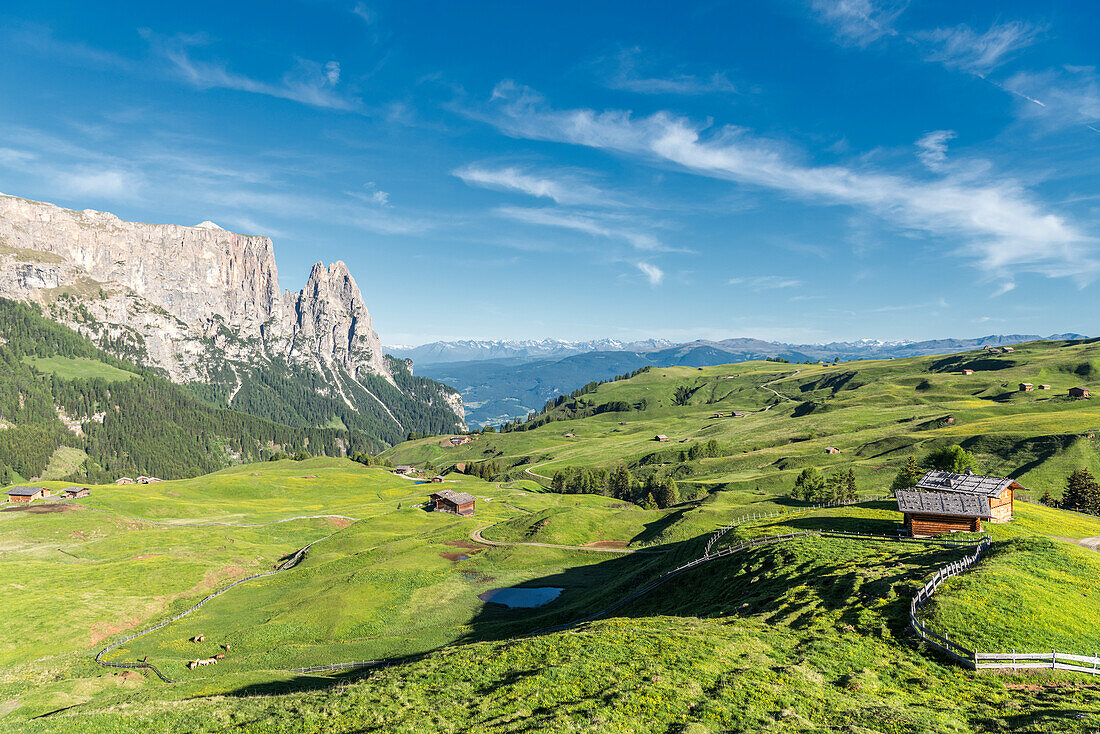 Alpe di Siusi/Seiser Alm, Dolomites, South Tyrol, Italy