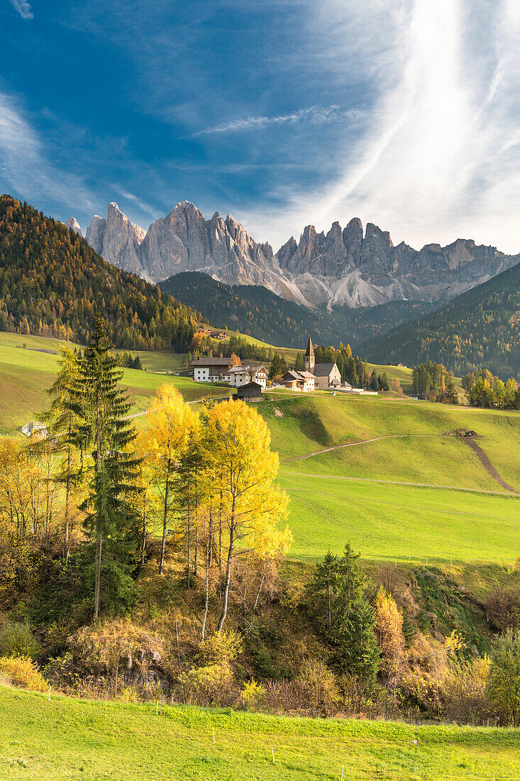 Funes Valley, Dolomites, province of Bolzano, South Tyrol, Italy, Autumn in Santa Maddalena and the peaks of Odle in the background