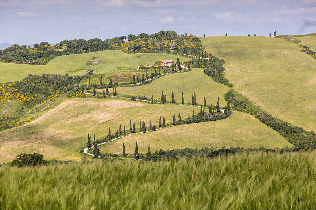 Tuscany, provence of Siena, La Foce at Tuscany hills, Italy