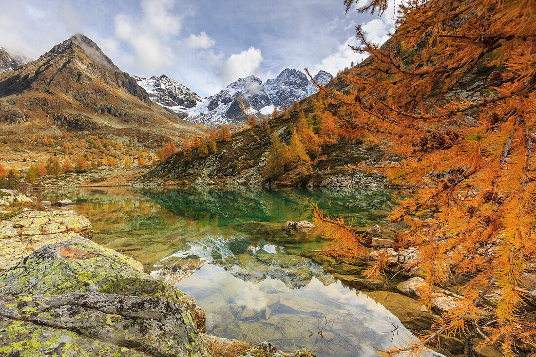 Italy, Lombardy, autumn landscape at Painale lake, in the background Ron peak