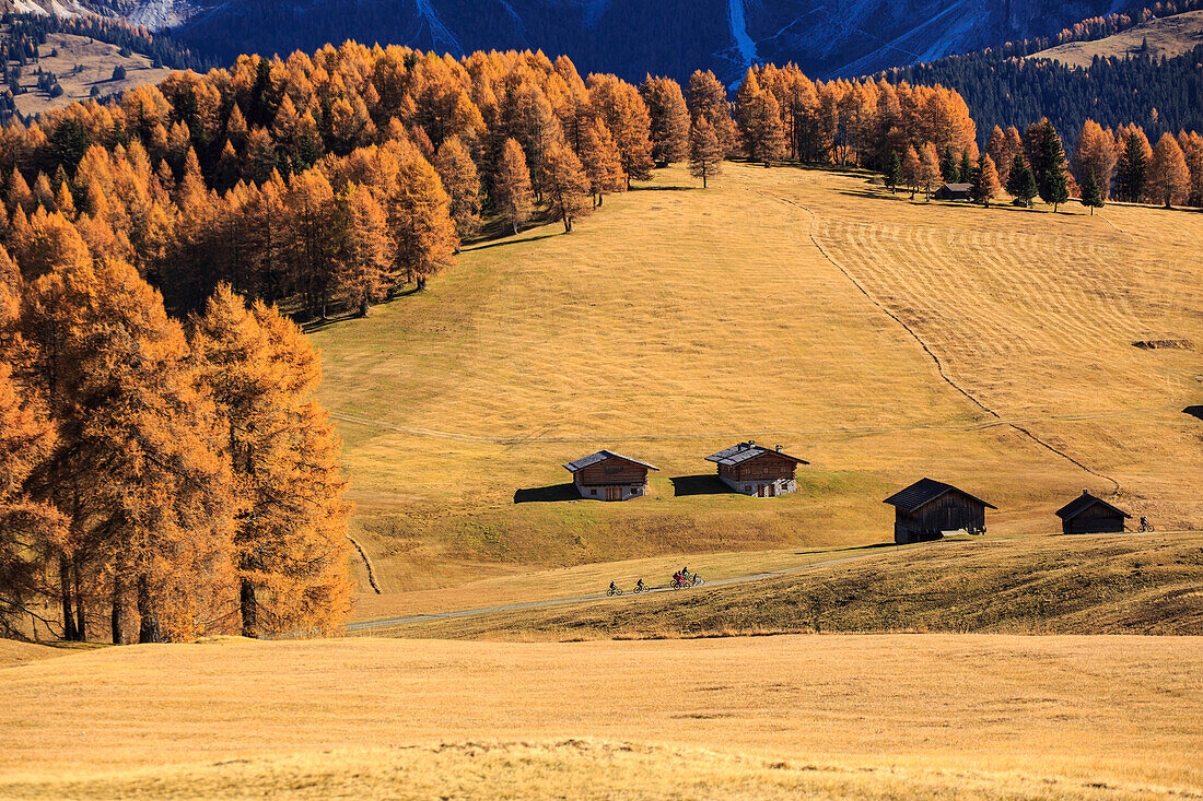 Alpine landscape during autumn, Alpe di Siusi/Seiser Alm, Dolomites, province of Bolzano, South Tyrol, Italy