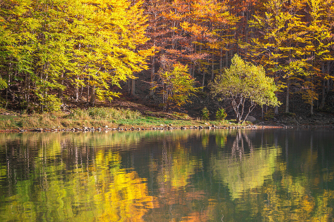 Autumnal colorful at Lago Santo, Pievepelago, Modena province, Italy.