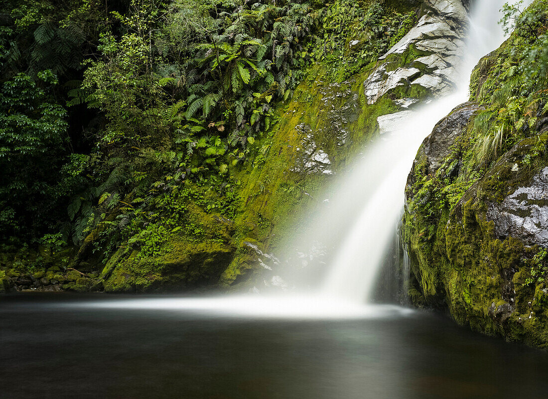 Dorothy Falls,  a waterfall over moss covered green cliffs with lush foliage, Lake Kanerie, West Coast of the South Island; West Coast, New Zealand