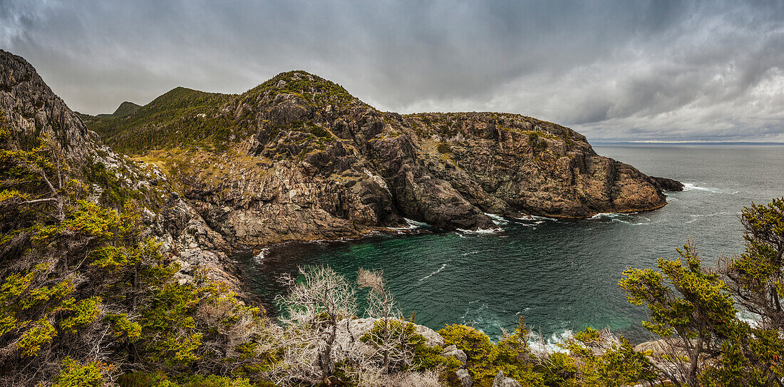 Rugged cliffs along the Atlantic coastline; Newfoundland, Canada