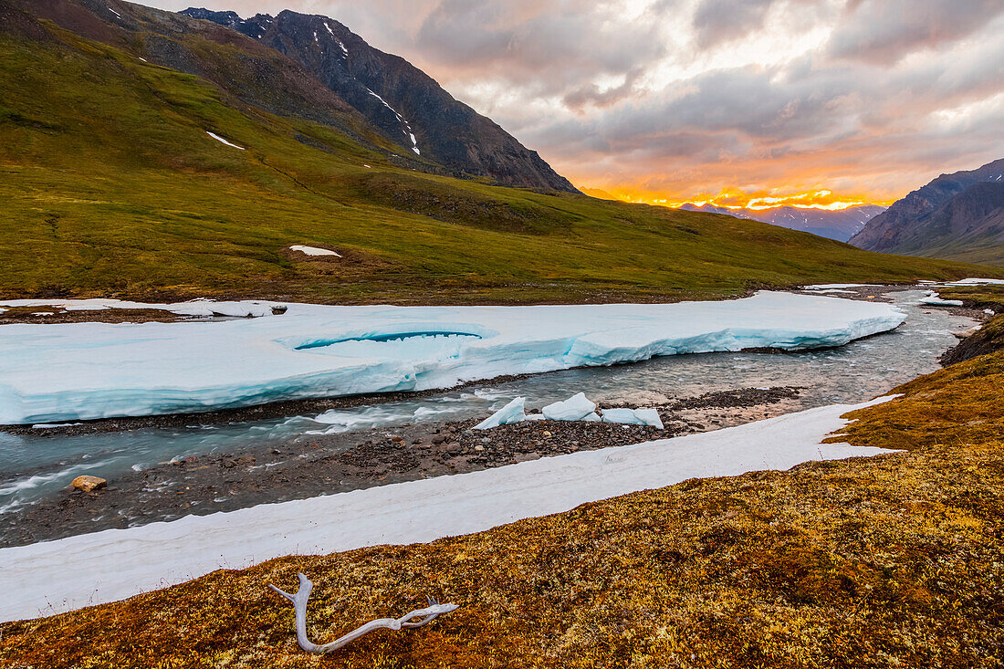 A caribou antler rests next to an unnamed fork of the Atigun River still partially covered by aufeis (sheet-like ice) under the midnight sun. in the Brooks Range; Alaska, United States of America