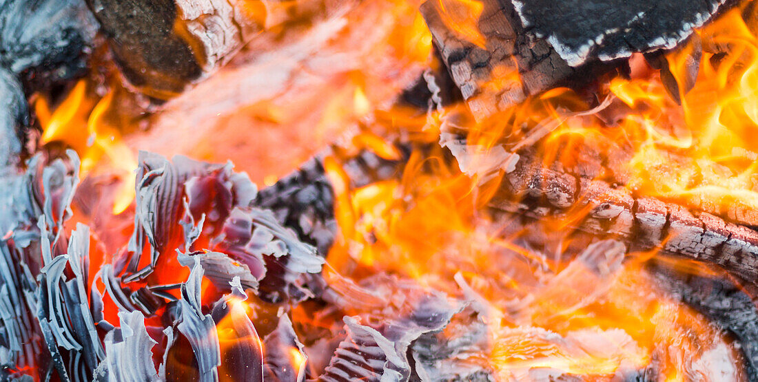 Close-up of a burning bonfire; Langley, British Columbia, Canada