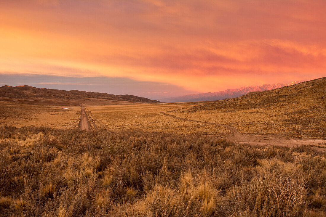 A dirt road leads the eye towards the horizon through bare desert hills. A snow-capped mountain range is visible in the distance. The scene and the clouds are lit by a red early sunrise; Potrerillos, Mendoza, Argentina