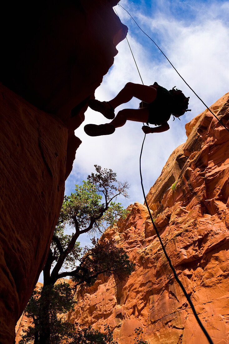 Looking upwards to the silhouette of an adventurer rappelling down a canyon in the desert; Hanksville, Utah, United States of America