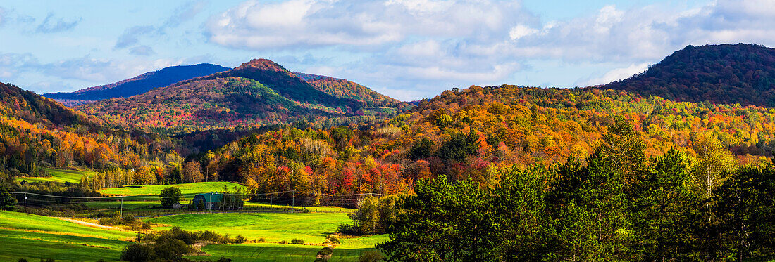 Landscape of forests on the hills with autumn coloured foliage; Iron Hill, Quebec, Canada