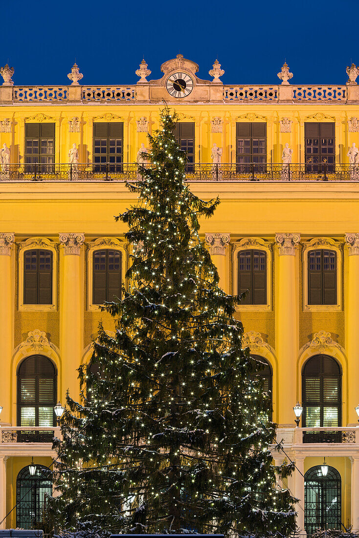 Weihnachtsbaum vor dem Schloss Schönbrunn, 14. Bezirk Hietzing, Wien, Österreich