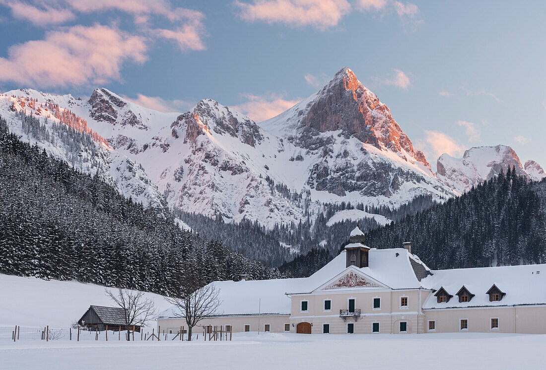 Calf Ling, Schloss Kaiserau, Ennstal alps, Styria, Austria