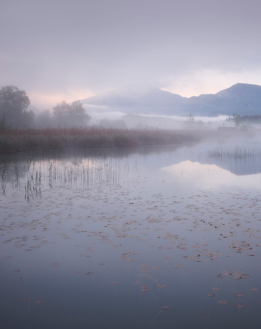 Morgenstimmung am Turnersee, Kärnten, Österreich