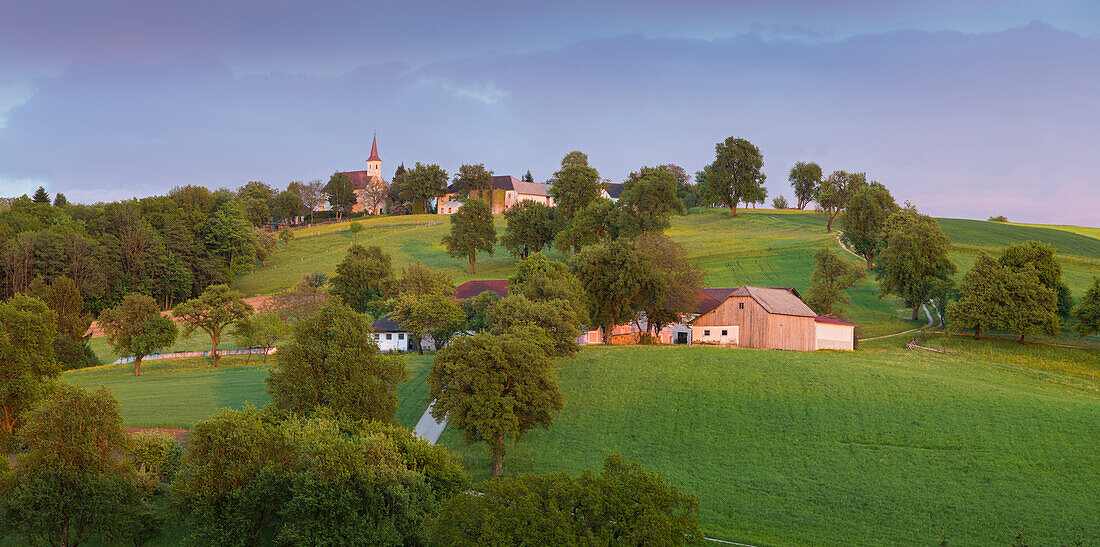 foothills, steina churches on the forest, Lower Austria, Austria