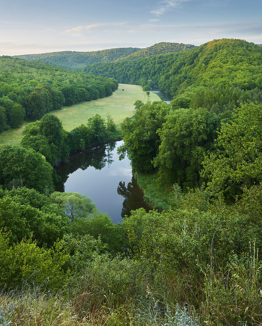 Blick vom Umlaufberg ins Thayatal, Nationalpark Thayatal, Niederösterreich, Österreich