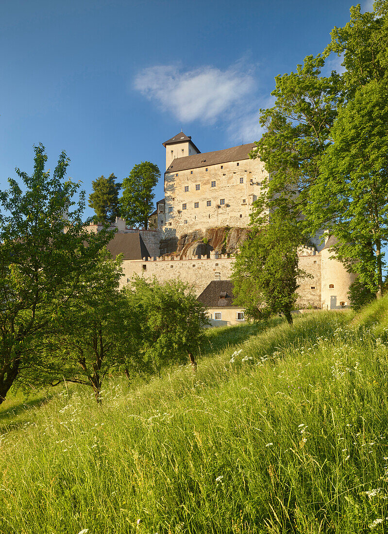 Burg Rapottenstein, Niederösterreich, Österreich