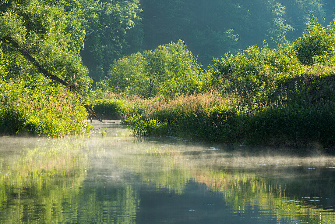 River Kamp, near Ceský Krumlov, Lower Austria, Austria