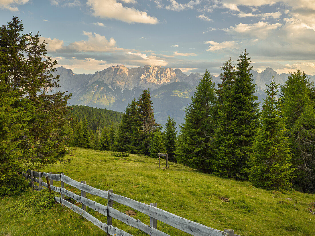 Blick über die Straganzalm zu den Lienzer Dolomiten, Osttirol, Tirol, Österreich