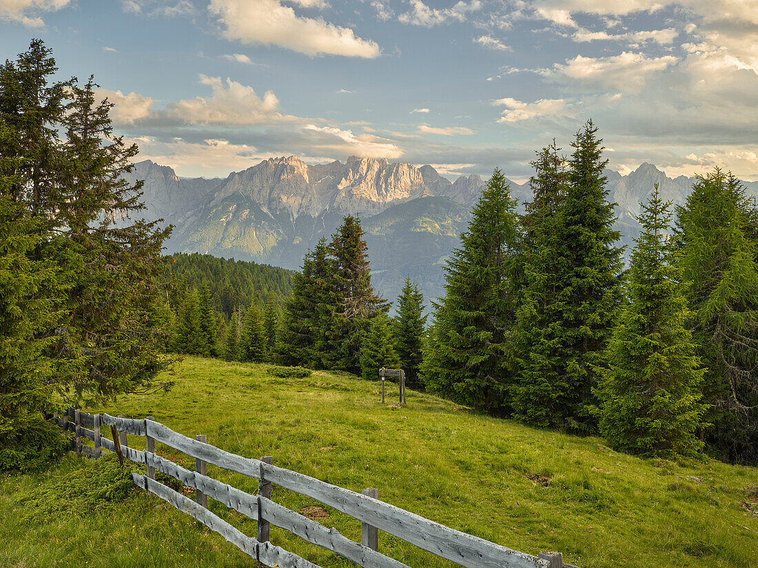 View over the straganzalm on the Lienz Dolomites, Osttirol, Tirol, Austria