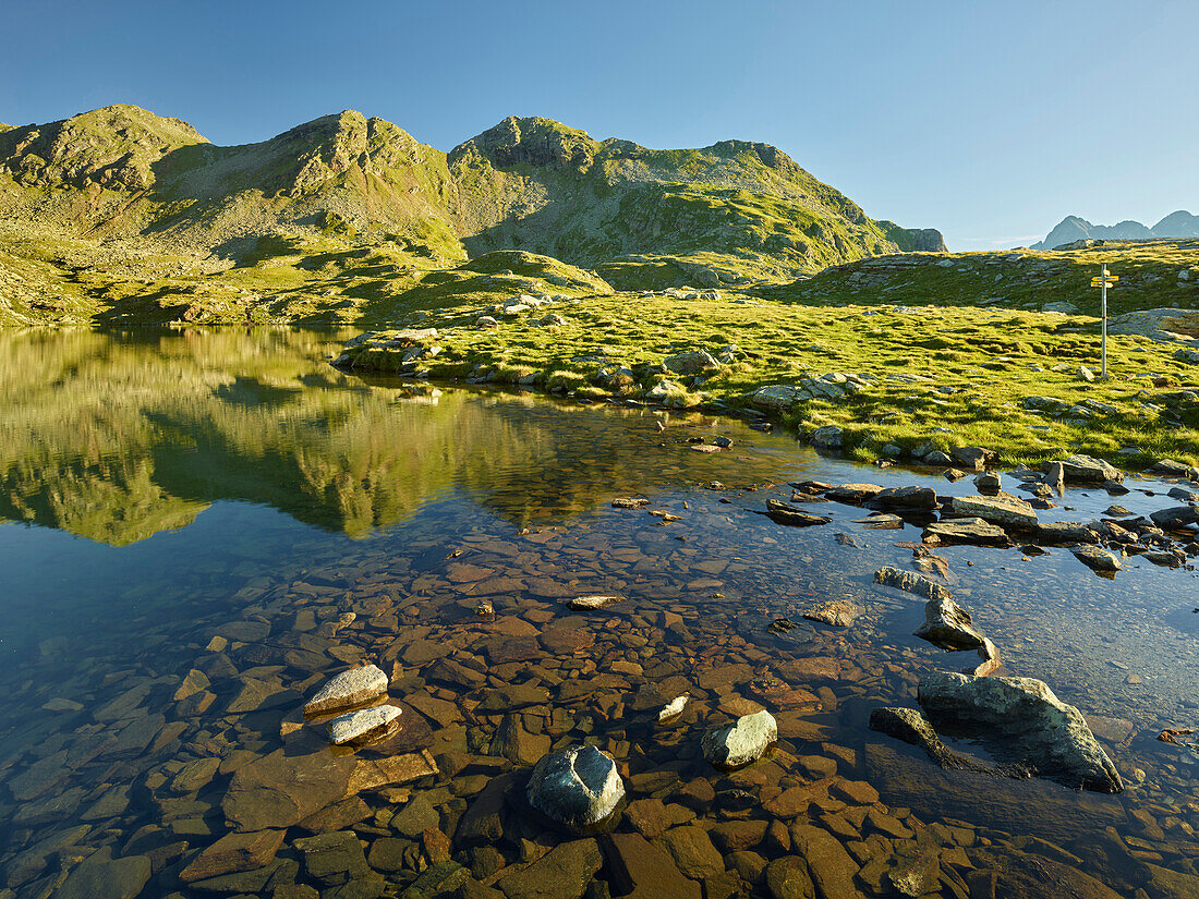 Neualplseen, Saddle heads, Schober Group, East Tyrol, Tyrol, Austria