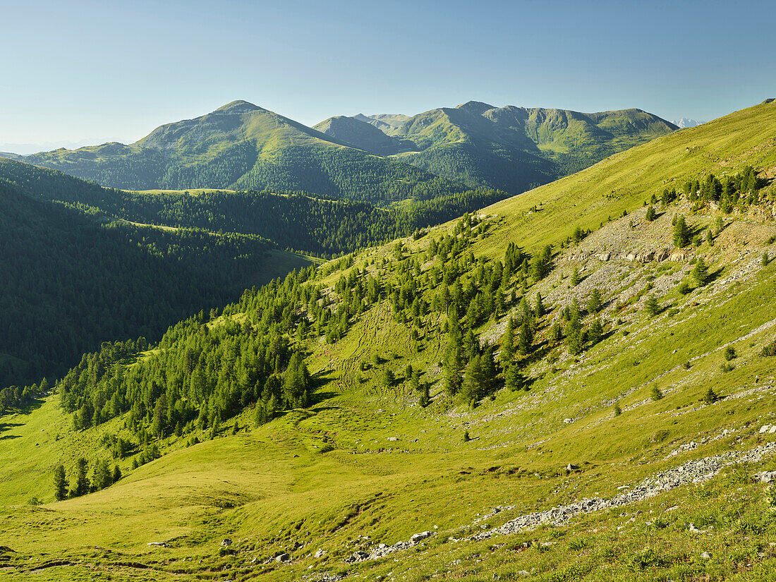 Klomnock, Pfannnock, Plattnock, nahe Eisentalhöhe, Nationalpark Nockberge, Kärnten, Österreich