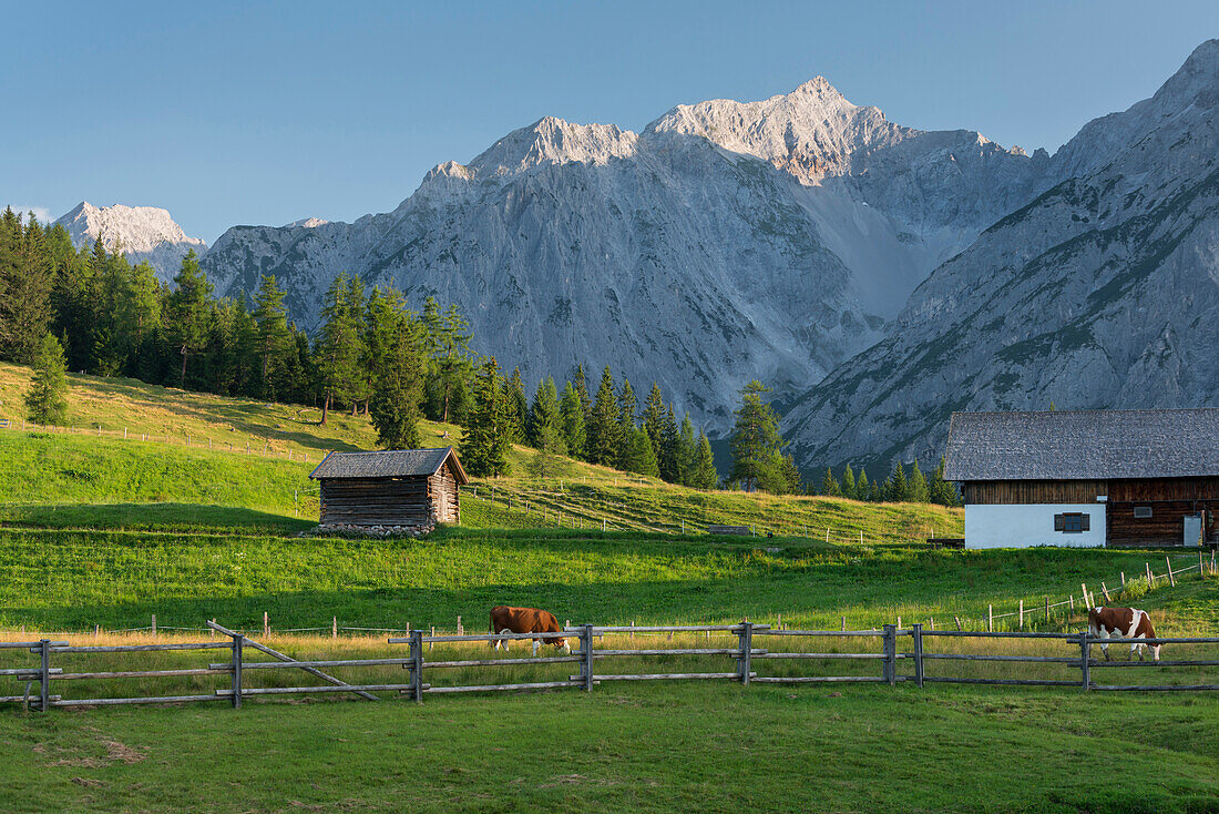 walderalm, spray tip of Kars, Grace forest, Karwendel, Tyrol, Austria