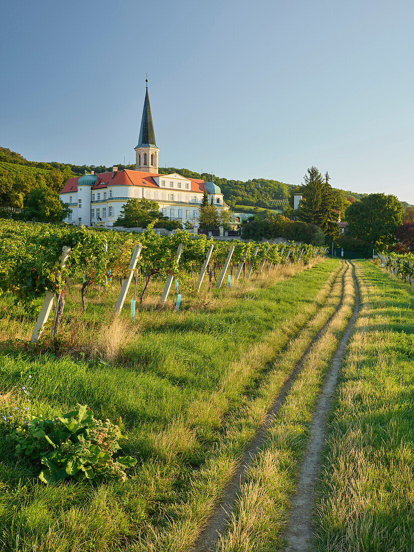 Pin in Gumpoldskirchen, Thermal Region, Lower Austria, Austria