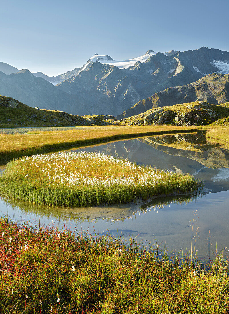 Mutterberger See, Wilder Freiger, Zuckerhütl,  Stubaier Alpen, Tirol, Österreich