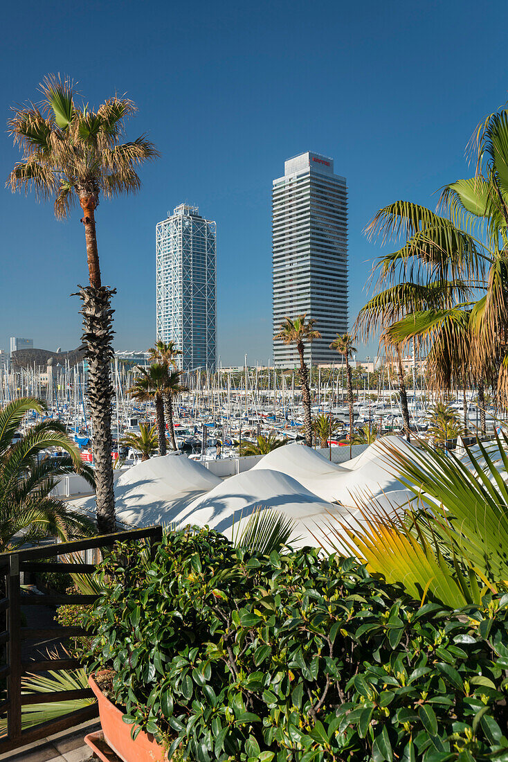 Olympic Port, Port Olimpic, Barcelona, Catalonia, Spain