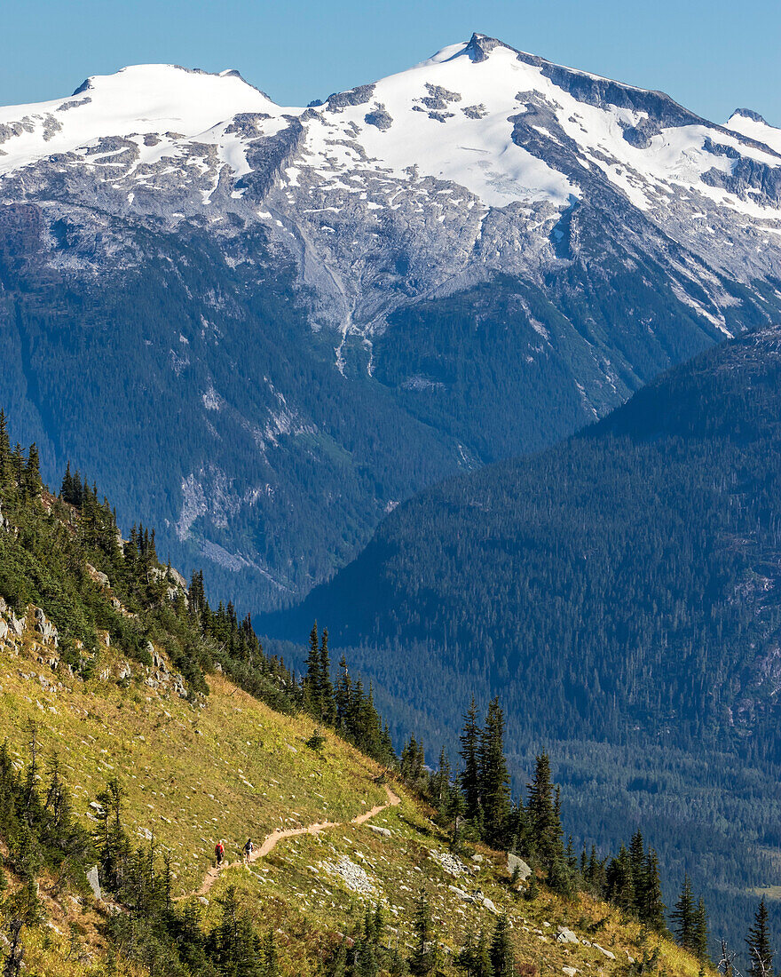 Snowcapped mountain peak and forested valley, Whistler, British Columbia, Canada