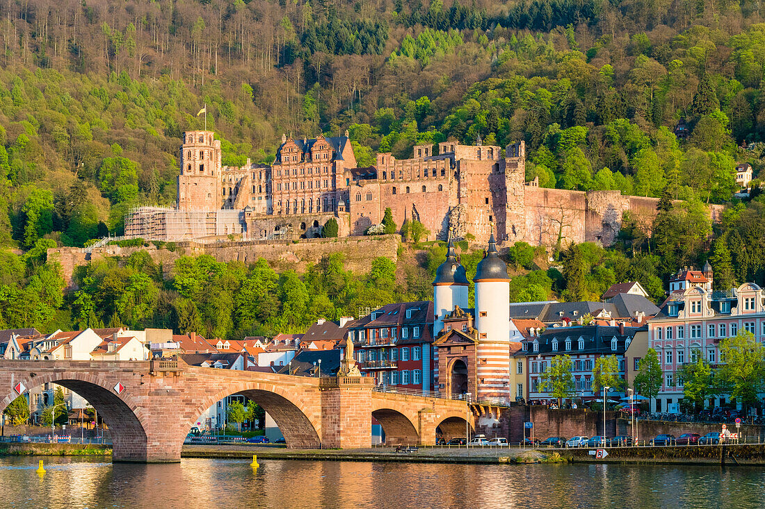 Alte Brucke (old bridge), Heidelberg Castle and buildings in Altstadt (old town), Heidelberg, Baden-Wurttemberg, Germany