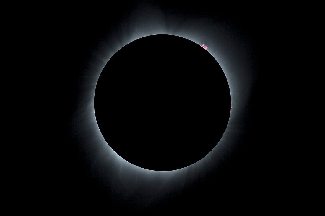 Solar prominences seen during total solar eclipse, Great American Eclipse, August 21, 2017, Stanley, Idaho, USA