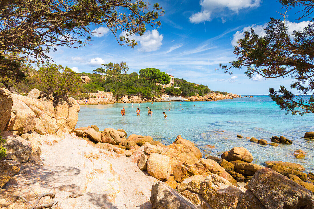 Rocks, trees and crystal turquoise water in Capriccioli beach, Arzachena Costa Smeralda, Olbia-Tempio province, Sardinia district, Italy