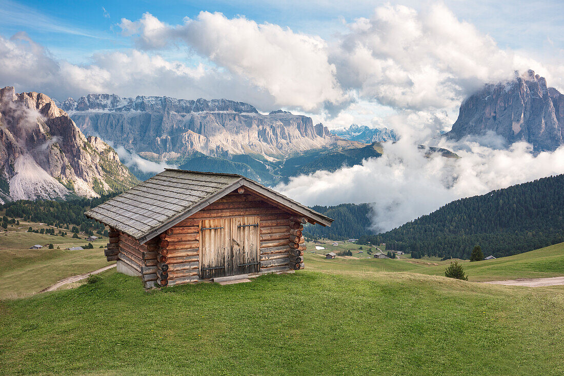 Seceda in a cloudy day, Val Gardena Valley, Dolomites, Trentino Alto Adige District, Italy