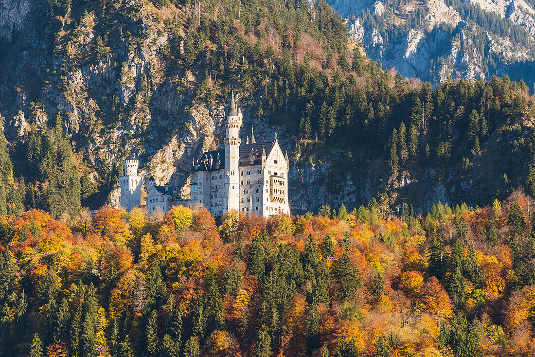 Schwangau, Bavaria, Germany, Europe, Neuschwanstein castle at sunset