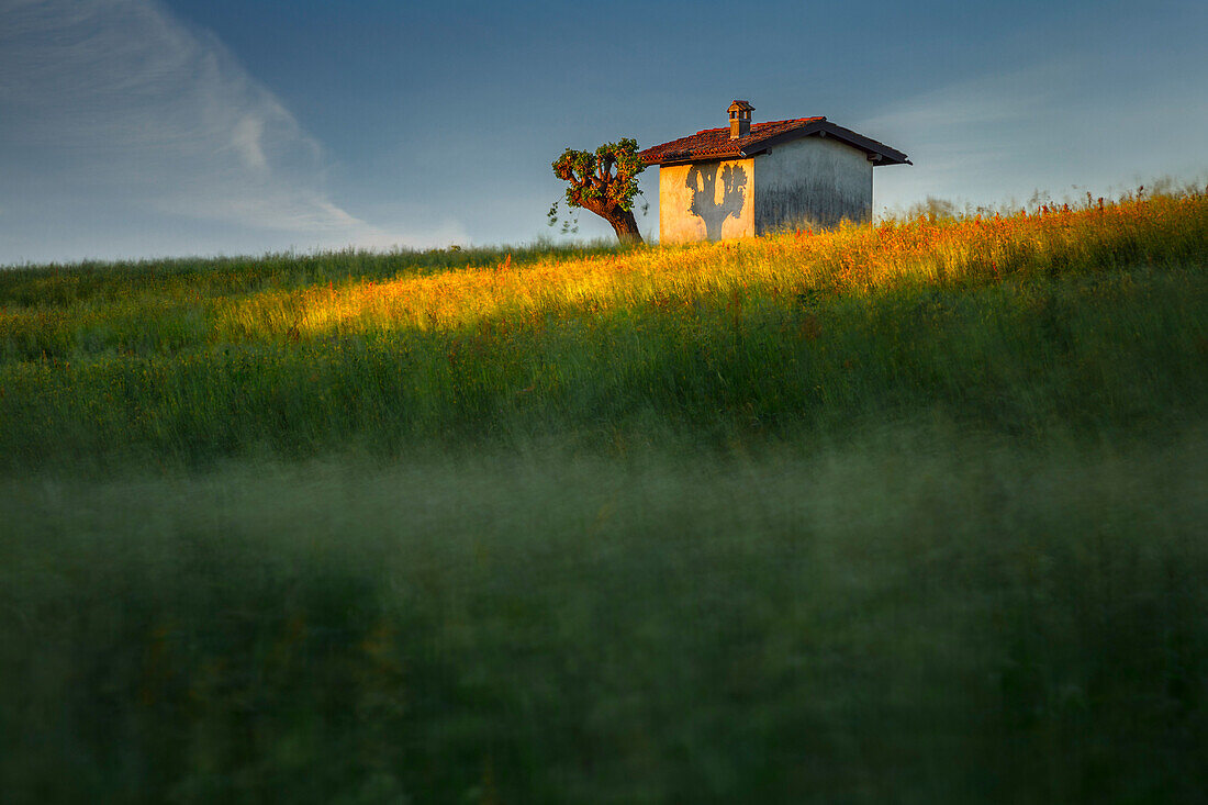 Awakening of fields with light spot on a cottage, Como province, Lombardy, Italy, Europe