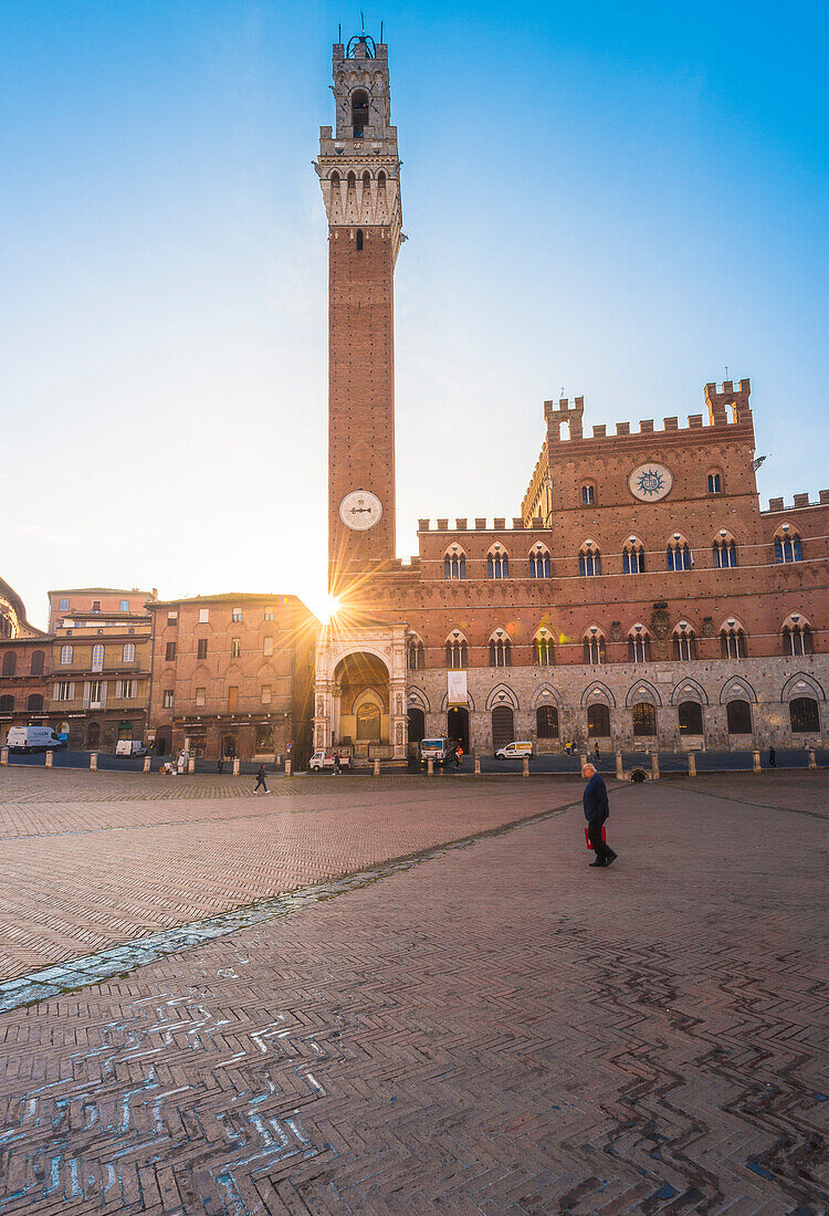 Siena, Tuscany, Italy, Europe, View of Piazza del Campo with the historical Palazzo Pubblico and its Torre del Mangia