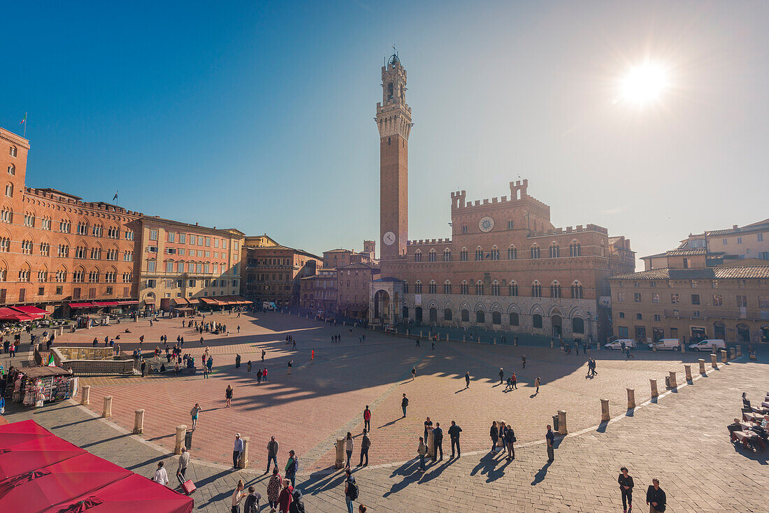Siena, Tuscany, Italy, Europe, Panoramic view of Piazza del Campo with the historical Palazzo Pubblico and its Torre del Mangia
