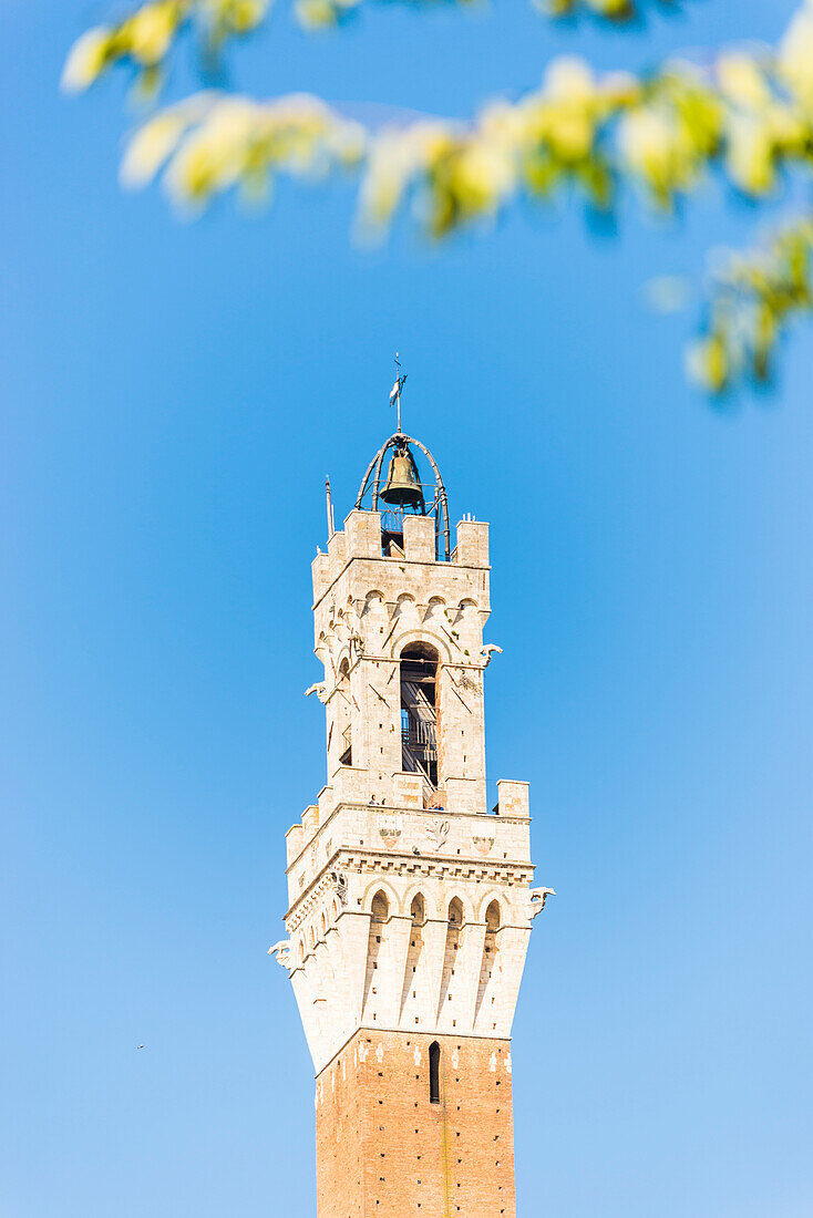 Siena, Tuscany, Italy, Europe. Del Mangia's Tower
