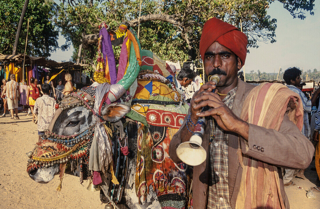 Hippie Flea Market , Flute player with cow at  Anjuna Beach , North Goa, India
